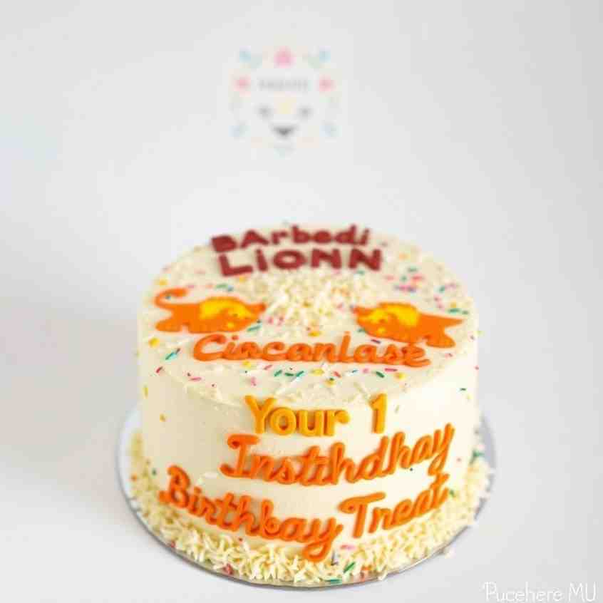 Bhubesi Lion Coconut Cake - Your 1st Birthday Treat